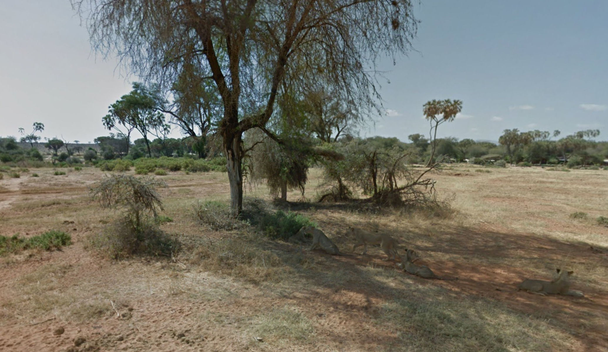 Kenský Národný park Samburu (z galérie služby...