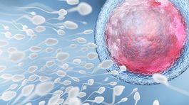 Spermie od darcu? Brexit môže ovplyvniť jeho dostupnosť pre britské páry