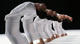 V ľudskom tele je ukrytá múdrosť