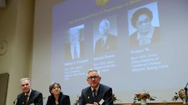 Nobelovku za medicínu získali vedci za výskum parazitov a liečbu malárie