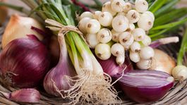 Mladá cibuľka - grilovaná na ohni je naozajstnou pochúťkou