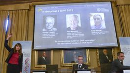 Nobelova cena za chémiu ide vedcom za štúdium opravy DNA