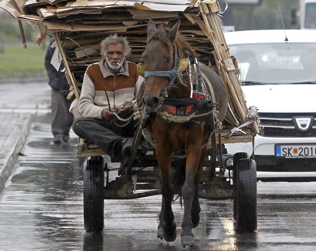 Macedónsko, kôň, auto, cesta, zberač papiera,