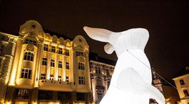 kultura, biela noc, hlavne namestie