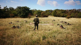 Zlyhanie riaditeľov