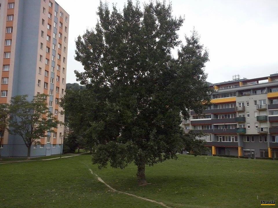 Mestská časť uvažovala o tejto lokalite ako o...
