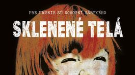 Erik Axl Sund - Sklenené telá. Drsné a mrazivé