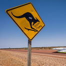 Austrália, kengura, solárnea autá, preteky