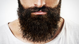 Bradáči sú zlí chlapci! Majú sklony k nevere, vraj sú tiež bitkári