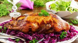 Podoby kačacieho mäska