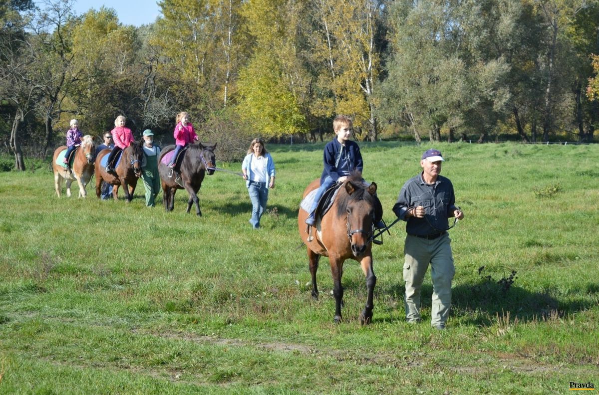 Školáci z Komárna a zo Zlatnej na Ostrove sa...
