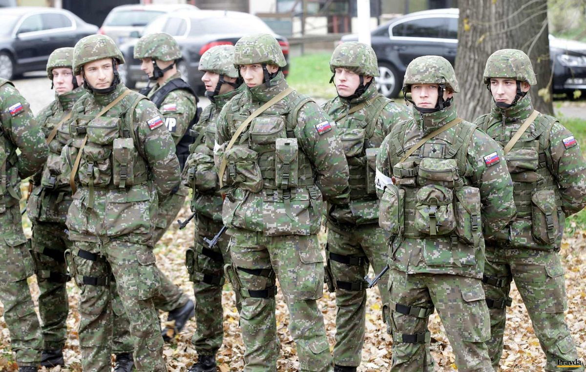 Účastníci cvičenia bezpečnostných a záchranných...