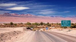 Čo sa stane s najsuchšou púšťou, keď naprší? Atacama prekvapila doružova