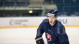 S reprezentáciou do Nemecka Jánošík, Čajkovský či trio útočníkov HK Nitra