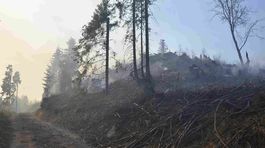 Požiar v Levočských vrchoch zničil najmenej 160 hektárov porastu