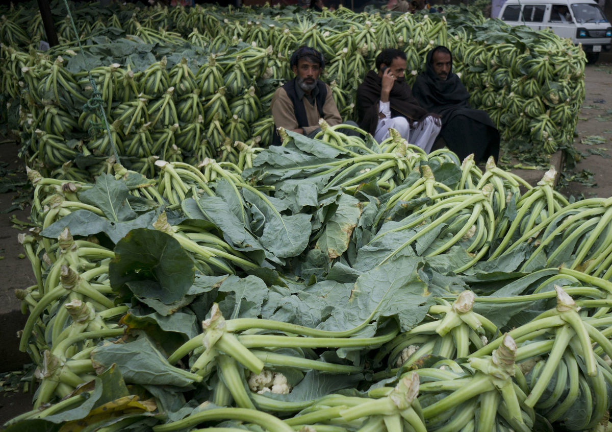 Pakistan, predavači, karfiol, trh, zelenina