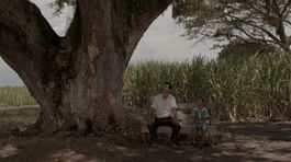 Najlepším filmom MFF Bratislava je Pôda a tieň