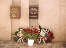 VIKEND-romovia-BB