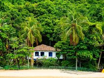 Costa Verde, Brazília, dom, palmy, prales, džungľa