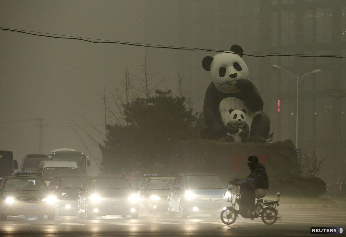 Čína, pandy, smog, znečistenie ovzdušia,