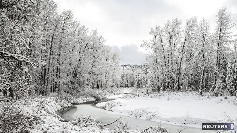 Čerstvý sneh v Kalifornii pri rieke Yuba.
