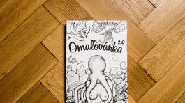 web omalovanka-311