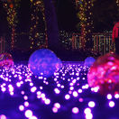 svetlá, svetielka, Hong Kong, Vianoce, ozdoby