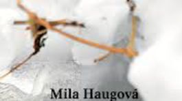 Mila Haugová: Canti ... amore 