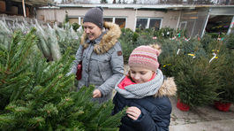 Vianočný stromček už stojí aj na Hviezdoslavovom námestí