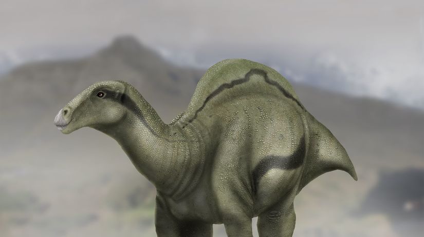dinosaurus, Morelladon Beltran, nález, vykopávka