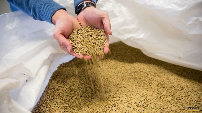 Slovenská šošovica sa ľahko pripravuje, skvelo...