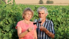 Jedenáste prikázanie: Vinohradu slúžiť budeš