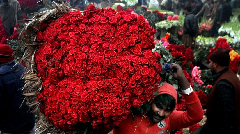Pakistan, ruže, kytica, predavač kvetov, kvety