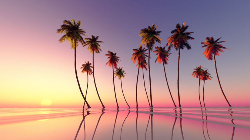 Fidži, palmy, pláž, piesok, more, leto,...