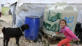 Plytvanie Pentagonu v Afganistane: Talianske kozy a autá na plyn 