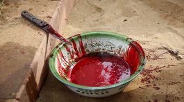 Benin, Voodoo festival