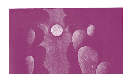 Naďa Rappensbergerová-Jankovičová: Noc tropická