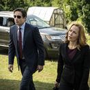 David Duchovny ako Fox Mulder a Gillian...