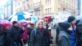 Na vysokých školách štrajkuje približne 500 zamestnancov