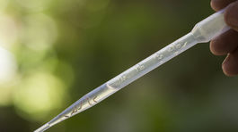 Obama požiadal o 1,8 miliardy dolárov na boj proti Zike