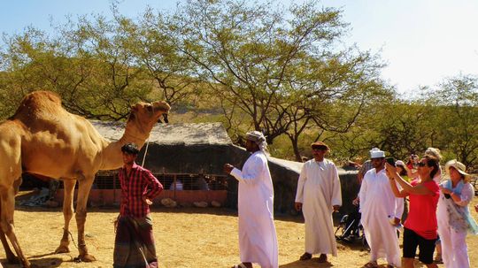 O salaš na horskej planine, kam miestni...
