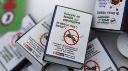 Českí vedci objavili prvú látku účinnú proti vírusu Zika