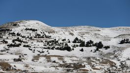 Čechov v Libanone oslobodili údajne výmenou za prepustenie Fajáda 