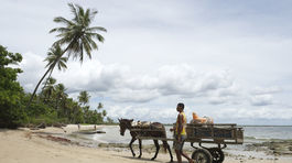 Vírus Zika zmáha brazílsku ekonomiku