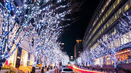 Tokio, Japonsko, stromy, svetlá, večer, ulica, mesto, svetielka