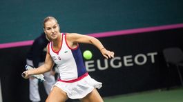 Zo 14 brejkbalov premenila iba dva. Cibulková finále v Budapešti nezvládla
