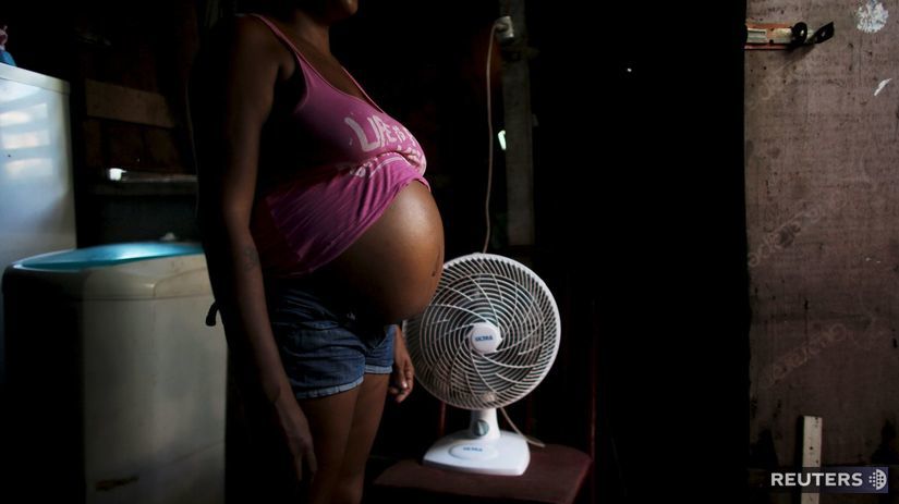 tehotenstvo, gravidita, Zika, Brazília