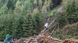 Prevaha ihličnanov posilňuje globálne otepľovanie