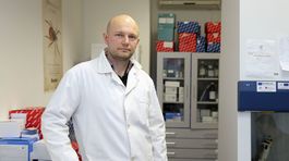 Vírus Zika je vzdialená hrozba. Hmyz smerujúci na sever reálna