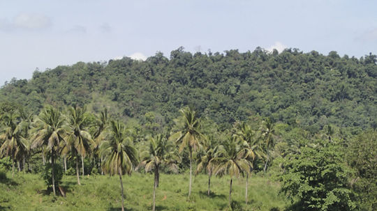 Chronicky známy obrázok zo slonieho sirotinca...